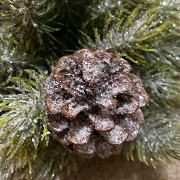 Glitter Sphere with Pinecones - Picture 3 of 5